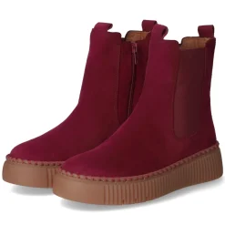 Chelsea Boots - bordeaux (El.uni)