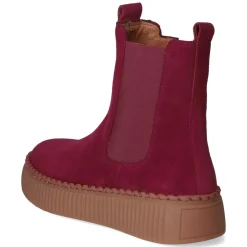 Chelsea Boots - bordeaux (El.uni)