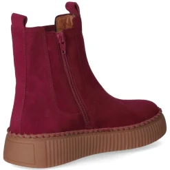 Chelsea Boots - bordeaux (El.uni)