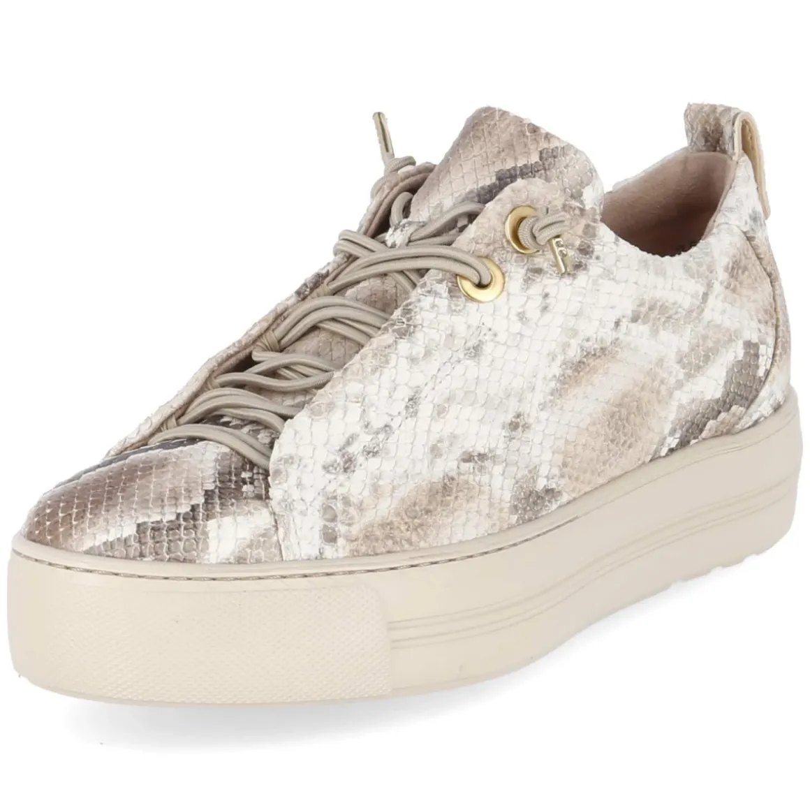 Low Sneaker - Boa Antic Biscuit