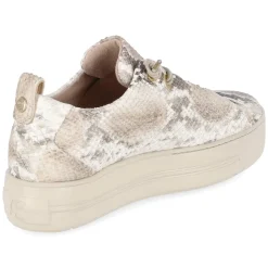 Low Sneaker - Boa Antic Biscuit