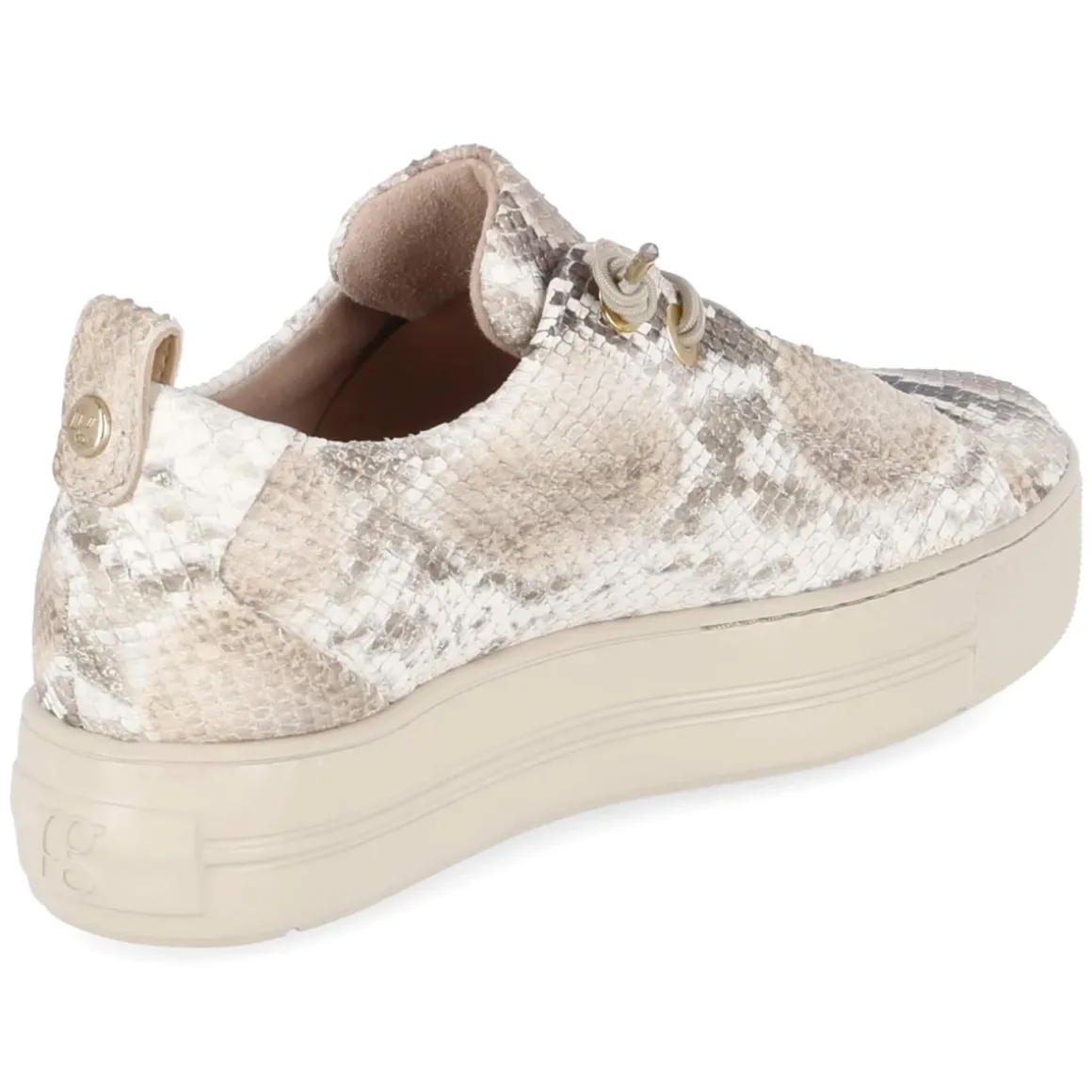 Low Sneaker - Boa Antic Biscuit