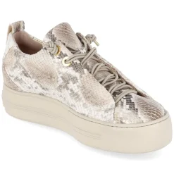 Low Sneaker - Boa Antic Biscuit