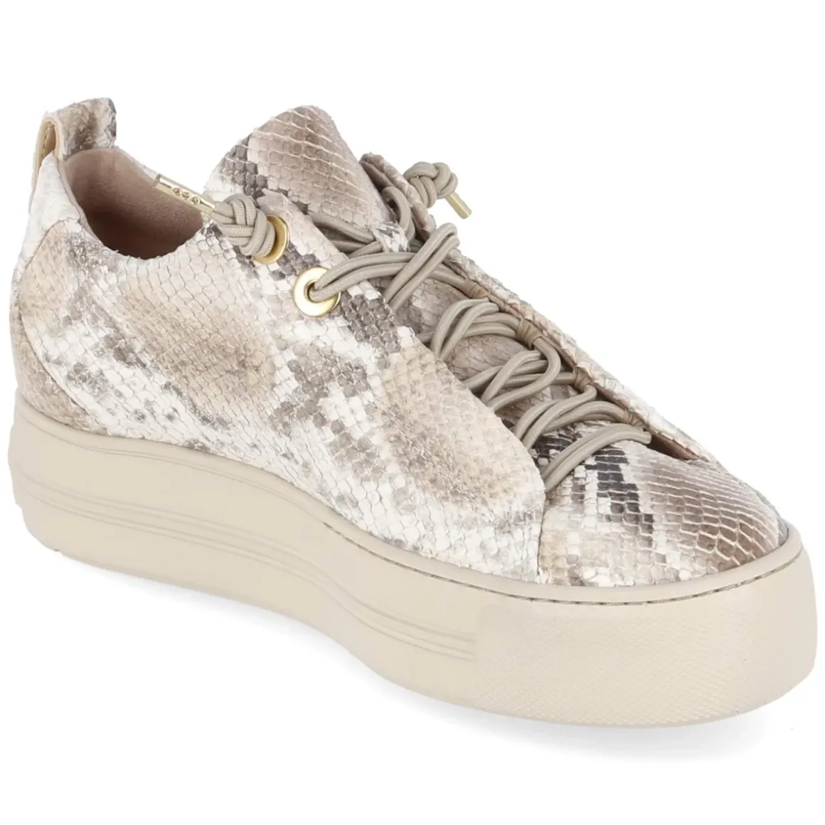 Low Sneaker - Boa Antic Biscuit