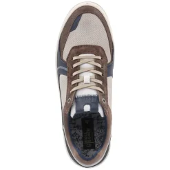 Low Sneaker - Grey - Dark Brown