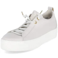 Low Sneaker - ivory / gold