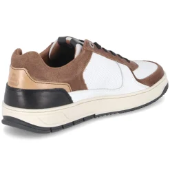 Low Sneaker - white - darkbrown